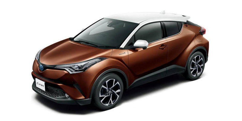 Dark Brown Mica Metallic White Roof