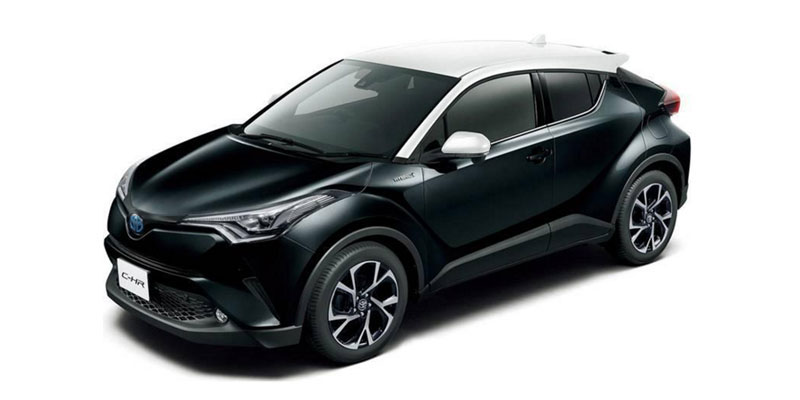 Black Mica White Roof